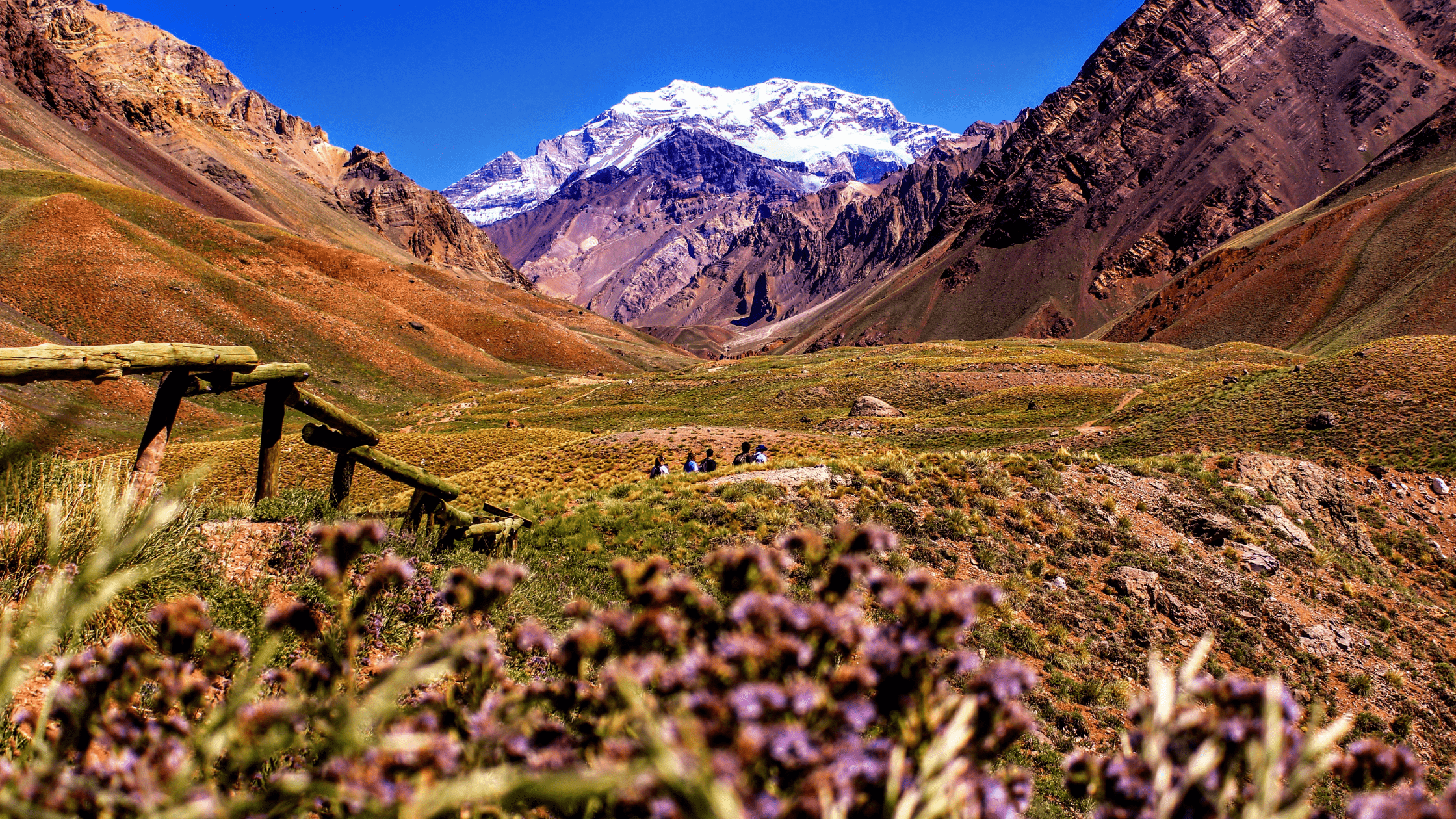 Argentina