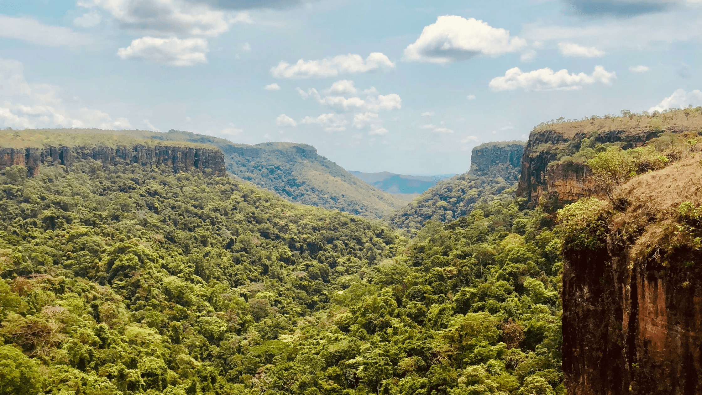 Brazil Image