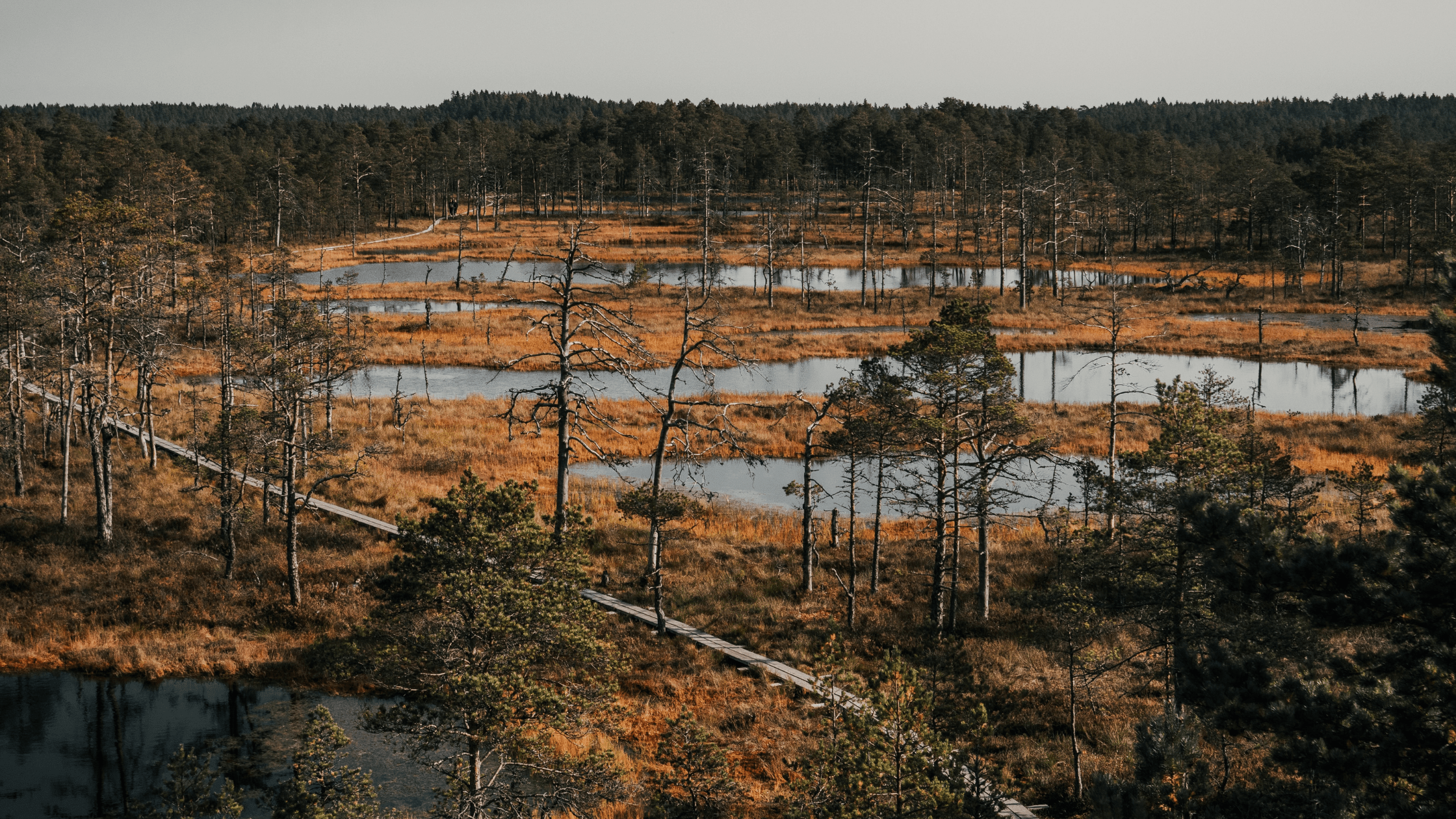 Estonia