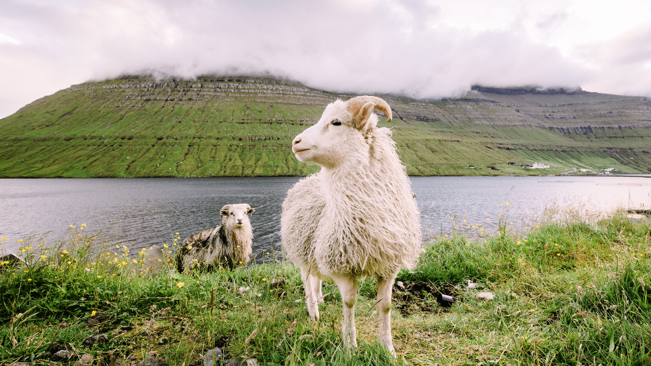 Faroe Islands